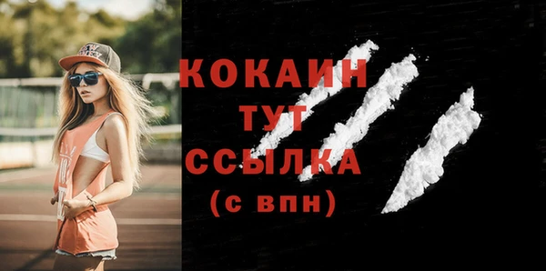 apvp Богданович