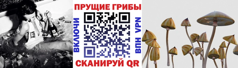Псилоцибиновые грибы мухоморы Фёдоровский